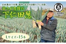 甘さが自慢の下仁田葱（Lサイズ 15本） とろける 甘い ねぎ ネギ 王様ねぎ 殿様ねぎ 特産 栄養たっぷり ブランド 上州ねぎ すきやき F21K-613