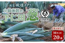 別名“殿様ねぎ” 大澤農園の下仁田葱（M 20本） とろける 甘い ねぎ ネギ 王様ねぎ 殿様ねぎ 特産 栄養たっぷり ブランド 上州ねぎ すきやき F21K-599
