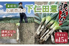 訳あり（家庭用）伝統農法の下仁田葱（Sサイズ 15本） とろける 甘い ねぎ ネギ 王様ねぎ 特産 栄養たっぷり ブランド 上州ねぎ すきやき F21K-575