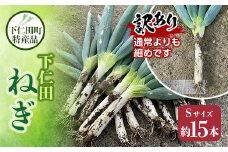訳あり（家庭用）下仁田町特産「下仁田ねぎ」（Sサイズ 15本） とろける 甘い ねぎ ネギ 王様ねぎ 特産 栄養たっぷり ブランド 上州ねぎ すきやき F21K-582
