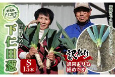 訳あり（家庭用）丹精込めた下仁田葱（Sサイズ 15本） とろける 甘い ねぎ ネギ 王様ねぎ 殿様ねぎ 特産 栄養たっぷり ブランド 上州ねぎ すきやき F21K-586