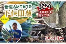 訳あり（家庭用）愛情込めて育てた下仁田葱（Sサイズ 15本） とろける 甘い ねぎ ネギ 王様ねぎ 殿様ねぎ 特産 栄養たっぷり ブランド 上州ねぎ すきやき F21K-569