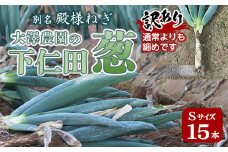 訳あり（家庭用）別名“殿様ねぎ” 大澤農園の下仁田葱（Sサイズ 15本） とろける 甘い ねぎ ネギ 王様ねぎ 特産 栄養たっぷり ブランド 上州ねぎ すきやき F21K-601