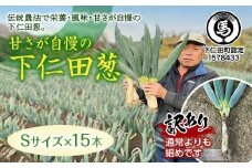 訳あり（家庭用）甘さが自慢の下仁田葱（Sサイズ 15本） とろける 甘い ねぎ ネギ 王様ねぎ 殿様ねぎ 特産 栄養たっぷり ブランド 上州ねぎ すきやき F21K-619