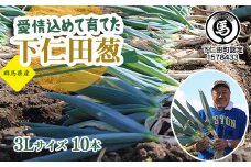 愛情込めて育てた下仁田葱(3L 10本) とろける 甘い ねぎ ネギ 王様ねぎ 殿様ねぎ 特産 栄養たっぷり ブランド 上州ねぎ すきやき F21K-565