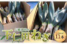 伝統栽培の下仁田ねぎ。寒い冬に最高のすき焼きを♪（LL 11本） とろける 甘い ねぎ ネギ 王様ねぎ 殿様ねぎ 特産 栄養たっぷり ブランド 上州ねぎ すきやき F21K-622