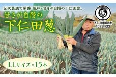 甘さが自慢の下仁田葱（LLサイズ 15本） とろける 甘い ねぎ ネギ 王様ねぎ 殿様ねぎ 特産 栄養たっぷり ブランド 上州ねぎ すきやき F21K-618