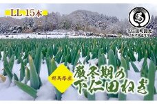 厳冬期の下仁田ねぎ厳冬期の下仁田ねぎ（LL 15本） とろける 甘い ねぎ ネギ 王様ねぎ 特産 栄養たっぷり ブランド 上州ねぎ すきやき F21K-563