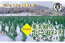 厳冬期の下仁田ねぎ食べ比べセット（M2本・L2本・LL3本）とろける 甘い ねぎ ネギ 王様ねぎ 特産 栄養たっぷり ブランド 上州ねぎ すきやき F21K-564