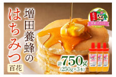 増田養蜂のはちみつ3本セット (百花)「KANRAブランド認定商品」｜国産 純粋はちみつ 蜂蜜 ハチミツ 無添加 とんがり容器 ボトル セット ハニー 産地直送 甘楽町 群馬県 [0212]