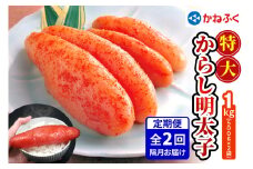 [定期便] 特大からし明太子 1kg XLサイズ『隔月／全2回』かねふく｜めんたいパーク めんたいこ 辛子明太子 グルメ ギフト おかず 甘楽町 [0115]