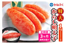 [定期便] 特大からし明太子 1kg XLサイズ『3か月連続お届け』かねふく｜めんたいパーク めんたいこ 辛子明太子 グルメ ギフト おかず 甘楽町 [0122]