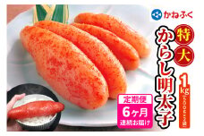 [定期便] 特大からし明太子 1kg XLサイズ『6か月連続お届け』かねふく｜めんたいパーク めんたいこ 辛子明太子 グルメ ギフト おかず 甘楽町 [0123]