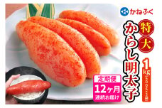 [定期便] 特大からし明太子 1kg XLサイズ『12か月連続お届け』かねふく｜めんたいパーク めんたいこ 辛子明太子 グルメ ギフト おかず 甘楽町 [0124]