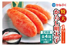 [定期便] 特大からし明太子 1kg XLサイズ『3ヶ月に1度／全4回』かねふく｜めんたいパーク めんたいこ 辛子明太子 グルメ ギフト おかず 甘楽町 [0129]