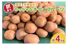 [訳あり] ちっちゃなキウイフルーツ (約4kg) 有機栽培【黒澤農園】｜数量限定 期間限定 キウイ ヘイワード 果物 果実 フルーツ 農家直送 産地直送 有機栽培 国産 甘楽町産 群馬県産 訳あり品 [0256]