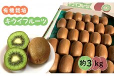有機栽培キウイフルーツ (約3kg) [黒澤農園] 12月中旬より順次発送｜数量限定 期間限定 キウイ ヘイワード 果物 果実 フルーツ 農家直送 産地直送 有機栽培 国産 甘楽町産 群馬県産 [0246]