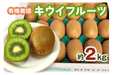有機栽培キウイフルーツ (約2kg) [黒澤農園] 12月中旬より順次発送｜数量限定 期間限定 キウイ ヘイワード 果物 果実 フルーツ 農家直送 産地直送 有機栽培 国産 甘楽町産 群馬県産 [0245]