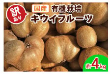 [訳あり] 有機栽培キウイフルーツ (約4kg)【黒澤農園】｜数量限定 期間限定 キウイ ヘイワード 果物 果実 フルーツ 農家直送 産地直送 有機栽培 国産 甘楽町産 群馬県産 訳あり品 [0255]