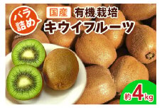 有機栽培キウイフルーツ (約4kg／バラ詰め)【黒澤農園】｜数量限定 期間限定 キウイ ヘイワード 果物 果実 フルーツ 農家直送 産地直送 有機栽培 国産 甘楽町産 群馬県産 [0247]