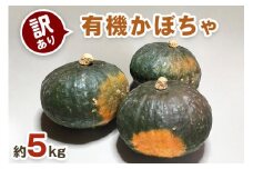 [先行受付][訳あり] 有機かぼちゃ (約5kg)【黒澤農園】｜数量限定 南瓜 カボチャ 九重栗 国産 産地直送 煮物 サラダ スイーツ 訳あり品 甘楽町産 [0188]