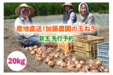 [新玉 令和7年6月～7月順次出荷予定] 産地直送！加藤農園の玉ねぎ 20kg｜数量限定 期間限定 タマネギ オニオン 玉葱 新玉ねぎ 産地直送 農家直送 野菜 新鮮野菜 国産 甘楽町産 群馬県産 [0190]