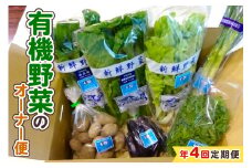 [定期便／4回] 有機野菜のオーナー便｜季節野菜 新鮮野菜 獲れたて 産地直送 群馬県産 甘楽町産 [0208]