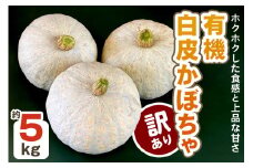 [先行受付][訳あり] 白皮かぼちゃ (有機) 5kg以上【黒澤農園】｜数量限定 期間限定 伯爵 南瓜 カボチャ 国産 産地直送 煮物 サラダ スイーツ 訳あり品 甘楽町産 [0271]