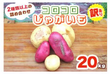 [訳あり] コロコロじゃがいも 20kg (2種類以上の詰め合わせ) 9月中旬より順次発送｜じゃがいも ジャガイモ ポテト 馬鈴薯 とうや ノーザンルビー レッドムーン メークイン 産地直送 農家直送 訳あり品 甘楽町産 国産 群馬県産 吉田農場 [0222]