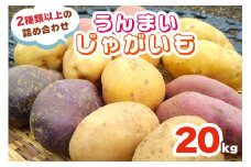 うんまいじゃがいも 20kg (2種類以上の詰め合わせ) [数量限定／期間限定] 8月中旬より順次発送｜じゃがいも ジャガイモ ポテト 馬鈴薯 とうや ノーザンルビー レッドムーン メークイン 産地直送 農家直送 甘楽町産 国産 群馬県産 吉田農場 [0221]