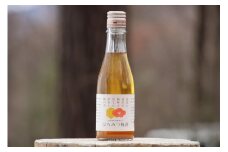 ミツバチが育てた梅とはちみつの梅酒 300ml 3本セット【酒 アルコール 蜂蜜 ハチミツ ギフト おすすめ 群馬県 長野原町 北軽井沢】