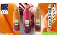 ドレッシング3種の詰め合わせ 調味料 セット 詰め合わせ 和風 洋風 [AB001tu]