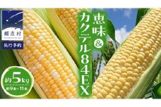 【 9月 中旬発送開始】【 数量限定 】 嬬恋産 とうもろこし 食べ比べ 恵味 ＆ カクテル84EX 約9本～11本 約 5kg トウモロコシ 5キロ 大粒 野菜 群馬 産地直送 期間限定 お取り寄せ バイカラーコーン [AT007tu]