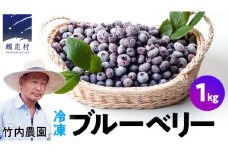 【数量限定】冷凍 ブルーベリー 1kg 国産 群馬県 フルーツ 果物 北軽井沢ブルーベリー園 お取り寄せ 産地直送 ジャム スムージー ヨーグルト [AD002tu]