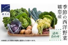 嬬恋産 季節の 西洋野菜 詰め合わせ 先行予約 2025年発送 産地直送 野菜 野菜セット 旬の野菜 [AG001tu]
