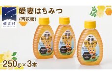 嬬恋村 愛妻はちみつ ( 百花 ) 250g 3個セット はちみつ ハチミツ 国産 蜂蜜 群馬 [AC002tu]