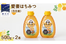 嬬恋村 愛妻はちみつ ( 百花 ) 500g 2個セット はちみつ ハチミツ 国産 蜂蜜 群馬 [AC003tu]