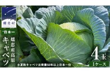 嬬恋キャベツ  嬬恋産 高原キャベツ4玉1ケース 旬の野菜 きゃべつ 産地直送 群馬 お取り寄せ 野菜 セット Lサイズ ZIP! [AS002tu]