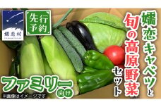 【 8月下旬発送開始】 嬬恋 キャベツ と旬の 高原 野菜 セット 4人様 ファミリー向け 旬の野菜 先行予約 きゃべつ 群馬 419 嬬恋キャベツ 産地直送 詰め合わせ アソート [AK002tu]