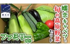 【9/10入金確認分まで】  嬬恋 キャベツ と旬の 高原 野菜 セット 4人様 ファミリー向け 旬の野菜 先行予約 きゃべつ 群馬 419 嬬恋キャベツ 産地直送 詰め合わせ アソート [AK002tu]