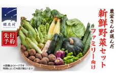 【 2025年 8月上旬 発送開始 】 嬬恋キャベツ 入り！農家さんが選んだ 新鮮 高原 野菜 セット 4人様 ファミリー向け  先行予約 キャベツ 群馬 野菜 セット 産地直送 詰め合わせ アソート 期間限定 [AN002tu]