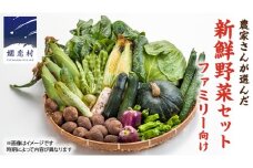 嬬恋キャベツ 入り！農家さんが選んだ 新鮮 高原 野菜 セット 4人様 ファミリー向け  先行予約 キャベツ 群馬 野菜 セット 産地直送 詰め合わせ アソート 期間限定 [AN002tu]