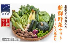 【 2025年 8月上旬 発送開始 】 キャベツ 入り！農家さんが選んだ 新鮮 高原 野菜 セット 1～2人様向け 先行予約  キャベツ 群馬 野菜 セット 産地直送 詰め合わせ アソート 期間限定 少量 [AN001tu]