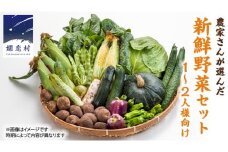 キャベツ 入り！農家さんが選んだ 新鮮 高原 野菜 セット 1～2人様向け 先行予約  キャベツ 群馬 野菜 セット 産地直送 詰め合わせ アソート 期間限定 少量 [AN001tu]