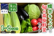 【 8月 下旬発送開始】 嬬恋キャベツ と旬の 高原 野菜 セット 1～2人 様向け 旬の野菜 先行予約 キャベツ 群馬 419 嬬恋キャベツ 産地直送 少量 詰め合わせ アソート [AK001tu]