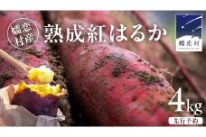 【 10月下旬発送開始 】嬬恋産 熟成 さつまいも 紅はるか 4kg 芋 いも サツマイモ 野菜 通販 お取り寄せ 嬬恋産 おいもやかんばら 農園 野菜 詰合せ 群馬 先行受付 [BR001tu]
