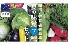 朝採り野菜 嬬恋高原 夏の味覚7種セット 高原野菜セット 産地直送 きゃべつ 嬬恋村産キャベツ 羽生田売店 期間限定 先行予約 人気 朝採り お取り寄せ 関東 群馬 [AL008tu] 