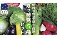 朝採り野菜 嬬恋高原 夏の味覚5種セット 高原野菜セット 産地直送 きゃべつ 嬬恋村産キャベツ 羽生田売店 期間限定 先行予約 人気 朝採り お取り寄せ 関東 群馬  [AL007tu] 