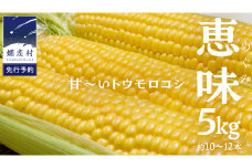 【 2025年 8月上旬 発送開始 】  甘～いトウモロコシ 恵味 5kg 約10～12本 とうもろこし 産地直送 羽生田売店 期間限定 先行予約 人気 朝採り お取り寄せ 関東 群馬 先行受付  [AL005tu] 