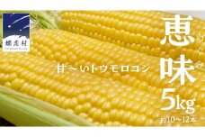 甘～いトウモロコシ 恵味 5kg 約10～12本 とうもろこし 産地直送 羽生田売店 期間限定 先行予約 人気 朝採り お取り寄せ 関東 群馬 先行受付  [AL005tu] 